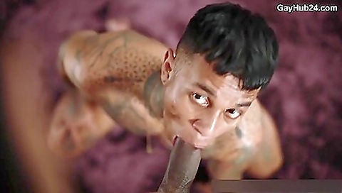 Toping sexy babes in a was seam