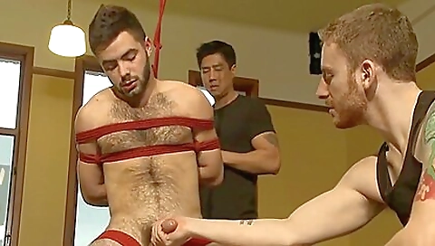 Sexy young restaurant expres saleization